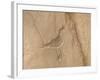 Petroglyph, Chaco Culture Nat'l Historical Park, UNESCO World Heritage Site, New Mexico, USA-James Hager-Framed Photographic Print