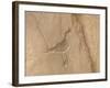 Petroglyph, Chaco Culture Nat'l Historical Park, UNESCO World Heritage Site, New Mexico, USA-James Hager-Framed Photographic Print