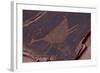 Petroglyph, Monument Valley Navajo Tribal Park, Arizona-Michel Hersen-Framed Photographic Print