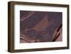 Petroglyph, Monument Valley Navajo Tribal Park, Arizona-Michel Hersen-Framed Photographic Print