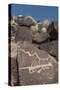 Petroglyph National Monument, New Mexico, United States of America, North America-Richard Maschmeyer-Stretched Canvas