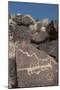 Petroglyph National Monument, New Mexico, United States of America, North America-Richard Maschmeyer-Mounted Photographic Print