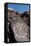 Petroglyph National Monument, New Mexico, United States of America, North America-Richard Maschmeyer-Framed Stretched Canvas