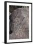 Petroglyph National Monument, New Mexico, United States of America, North America-Richard Maschmeyer-Framed Photographic Print