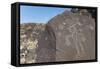 Petroglyph National Monument, New Mexico, United States of America, North America-Richard Maschmeyer-Framed Stretched Canvas