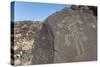 Petroglyph National Monument, New Mexico, United States of America, North America-Richard Maschmeyer-Stretched Canvas