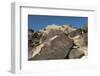 Petroglyph National Monument, New Mexico, United States of America, North America-Richard Maschmeyer-Framed Photographic Print