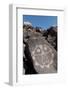 Petroglyph National Monument, New Mexico, United States of America, North America-Richard Maschmeyer-Framed Photographic Print