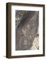 Petroglyph National Monument, New Mexico, United States of America, North America-Richard Maschmeyer-Framed Photographic Print