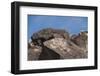 Petroglyph National Monument, New Mexico, United States of America, North America-Richard Maschmeyer-Framed Photographic Print