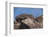 Petroglyph National Monument, New Mexico, United States of America, North America-Richard Maschmeyer-Framed Photographic Print