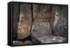 Petroglyph National Monument, Petroglyphs, New Mexico, USA-null-Framed Stretched Canvas