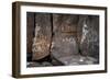 Petroglyph National Monument, Petroglyphs, New Mexico, USA-null-Framed Giclee Print