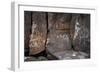 Petroglyph National Monument, Petroglyphs, New Mexico, USA-null-Framed Giclee Print