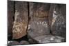 Petroglyph National Monument, Petroglyphs, New Mexico, USA-null-Mounted Premium Giclee Print