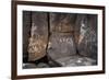 Petroglyph National Monument, Petroglyphs, New Mexico, USA-null-Framed Giclee Print