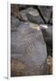 Petroglyph National Monument, Petroglyphs, New Mexico, USA-null-Framed Giclee Print