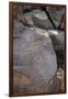 Petroglyph National Monument, Petroglyphs, New Mexico, USA-null-Framed Giclee Print