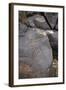 Petroglyph National Monument, Petroglyphs, New Mexico, USA-null-Framed Giclee Print