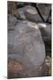 Petroglyph National Monument, Petroglyphs, New Mexico, USA-null-Mounted Giclee Print