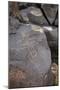 Petroglyph National Monument, Petroglyphs, New Mexico, USA-null-Mounted Giclee Print