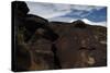 Petroglyph National Monument, Petroglyphs, New Mexico, USA-null-Stretched Canvas