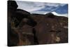 Petroglyph National Monument, Petroglyphs, New Mexico, USA-null-Stretched Canvas