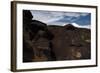 Petroglyph National Monument, Petroglyphs, New Mexico, USA-null-Framed Giclee Print