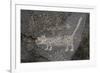 Petroglyph National Monument, Petroglyphs, New Mexico, USA-null-Framed Giclee Print