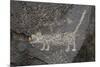 Petroglyph National Monument, Petroglyphs, New Mexico, USA-null-Mounted Giclee Print