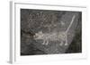 Petroglyph National Monument, Petroglyphs, New Mexico, USA-null-Framed Giclee Print