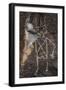 Petroglyph National Monument, Petroglyphs, New Mexico, USA-null-Framed Giclee Print