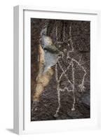 Petroglyph National Monument, Petroglyphs, New Mexico, USA-null-Framed Giclee Print