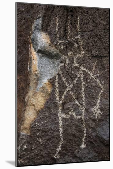 Petroglyph National Monument, Petroglyphs, New Mexico, USA-null-Mounted Giclee Print