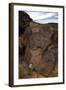 Petroglyph National Monument, Petroglyphs, New Mexico, USA-null-Framed Giclee Print