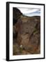 Petroglyph National Monument, Petroglyphs, New Mexico, USA-null-Framed Giclee Print