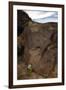 Petroglyph National Monument, Petroglyphs, New Mexico, USA-null-Framed Giclee Print