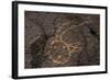 Petroglyph National Monument, Petroglyphs, New Mexico, USA-null-Framed Giclee Print