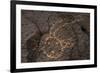 Petroglyph National Monument, Petroglyphs, New Mexico, USA-null-Framed Giclee Print