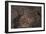 Petroglyph National Monument, Petroglyphs, New Mexico, USA-null-Framed Giclee Print