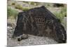 Petroglyph National Monument, Petroglyphs, New Mexico, USA-null-Mounted Giclee Print