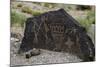 Petroglyph National Monument, Petroglyphs, New Mexico, USA-null-Mounted Giclee Print