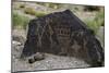 Petroglyph National Monument, Petroglyphs, New Mexico, USA-null-Mounted Giclee Print