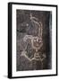 Petroglyph National Monument, Petroglyphs, New Mexico, USA-null-Framed Giclee Print