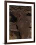 Petroglyph National Monument, Petroglyphs, New Mexico, USA-null-Framed Giclee Print