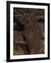 Petroglyph National Monument, Petroglyphs, New Mexico, USA-null-Framed Giclee Print