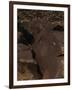 Petroglyph National Monument, Petroglyphs, New Mexico, USA-null-Framed Giclee Print