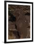 Petroglyph National Monument, Petroglyphs, New Mexico, USA-null-Framed Giclee Print