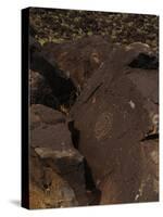 Petroglyph National Monument, Petroglyphs, New Mexico, USA-null-Stretched Canvas