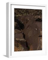 Petroglyph National Monument, Petroglyphs, New Mexico, USA-null-Framed Giclee Print